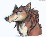 2021 alpha_and_omega amber_eyes brown_body brown_fur bust_portrait canid canine canis fangs female feral fur kate_(alpha_and_omega) mammal pointy_ears portrait prick_ears simple_background solo stray-sketches teeth traditional_media_(artwork) white_background wolf