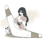  1girl black_bracer blunt_bangs boomerang cleaning cleaning_rag cleaning_weapon colored_sclera commentary_request hiraikotsu holding_boomerang huge_weapon inuyasha japanese_clothes kimono kirara_(inuyasha) light_smile long_hair low-tied_long_hair nekomata on_floor polishing red_sclera sango_(inuyasha) scuffed seiza simple_background sitting slit_pupils takenaga_hairtie troll8828 two-tone_kimono weapon white_background wiping 