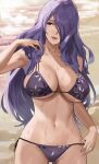  1girl alternate_costume armpits bare_arms bare_shoulders bikini breasts camilla_(fire_emblem) cleavage collarbone cowboy_shot day fire_emblem fire_emblem_fates hair_over_one_eye halterneck highres j@ck large_breasts long_hair looking_away looking_to_the_side navel outdoors parted_lips purple_bikini purple_eyes purple_hair purple_swimsuit side-tie_bikini skindentation smile solo stomach string_bikini swimsuit very_long_hair wet 