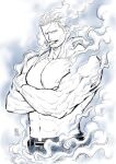  1boy abs bara beard belt blue_theme cigar crossed_arms facial_hair kokorozashi large_pectorals looking_at_viewer male_focus mature_male monochrome muscular muscular_male navel nipples one_piece pectorals scar scar_on_chest shirtless short_hair sideburns smoke smoker_(one_piece) smoking solo stomach stubble white_hair 