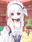  1girl :o apron azur_lane bird blurry bookshelf bow_choker braid chick choker clip_studio_paint_(medium) depth_of_field elbow_gloves gelulu gloves grey_eyes little_bel_(azur_lane) maid maid_apron maid_headdress manjuu_(azur_lane) one_side_up ribbon_choker single_braid solo v_arms white_hair 