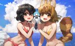  2girls :d animal_ears bangs bikini black_hair blonde_hair blush breasts brown_eyes brown_hair cheek-to-cheek cheek_press cleavage collarbone commentary_request commission day extra_ears eyebrows_visible_through_hair floating_hair hair_between_eyes heads_together highres horizon kaban_(kemono_friends) kemono_friends leaning_to_the_side looking_at_viewer lucky_beast_(kemono_friends) medium_hair melaton multicolored_hair multiple_girls navel ocean open_mouth orange_eyes outdoors red_bikini red_swimsuit serval_(kemono_friends) shiny shiny_hair skeb_commission sky smile stomach swimsuit tail two-tone_hair water 