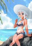  bikini elf pointy_ears swimsuits tan_lines wweed 