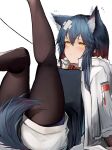  1girl absurdres animal_ears arknights black_legwear blue_hair blush closed_mouth collar commentary_request highres jacket leash leg_up long_hair long_sleeves pantyhose red_collar shorts simple_background solo tab_head tail texas_(arknights) white_background white_jacket white_shorts wolf_ears wolf_girl wolf_tail yellow_eyes 