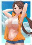  1girl absurdres armpits arms_behind_head arms_up aya_roushi bare_shoulders beads bikini bikini_top blue_shorts blue_sky border breasts brown_eyes brown_hair cleavage collarbone contemporary denim denim_shorts drawstring facial_mark fate/grand_order fate_(series) forehead forehead_mark heroic_spirit_tour_outfit highres himiko_(fate) hood hooded_vest hoodie large_breasts long_hair looking_at_viewer orange_vest short_shorts shorts sky smile solo swimsuit topknot twintails vest white_bikini white_border zipper 