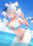  animal_ears bettle_(b_s_a_n) bikini nekomimi swimsuits tail wet 