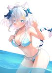  animal_ears bettle_(b_s_a_n) bikini nekomimi swimsuits tagme tail wet 