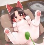  1girl animal_ears bangs benikurage_(cookie) black_eyes black_hair blush cat cat_ears cat_teaser commentary_request cookie_(touhou) eyebrows_visible_through_hair fangs frilled_hair_tubes frills full_body hair_tubes hakurei_reimu human_head litter_box lying medium_hair mouse on_back open_mouth otemoto_(baaaaloooo) parted_bangs pillow solo touhou 