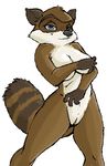  breasts covering_breasts crossgender dreamworks female looking_at_viewer mammal over_the_hedge plain_background pussy raccoon rj rule_63 smile solo standing white_background winstar 