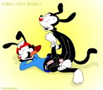  animaniacs stefanescu tagme wakko_warner yakko_warner 