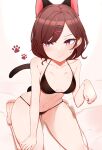  1girl absurdres animal_ears bangs bare_arms bare_legs bare_shoulders barefoot bed_sheet bikini black_bikini breasts brown_hair cat_ears cat_girl cat_tail choumi_wuti_(xueye_fanmang_zhong) closed_mouth eyebrows_visible_through_hair hair_ornament hairclip hand_up highres higuchi_madoka idolmaster idolmaster_shiny_colors kemonomimi_mode looking_away looking_to_the_side mole mole_under_eye navel purple_eyes seiza sitting small_breasts solo sweat swept_bangs swimsuit tail 