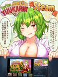  1girl breasts cleavage dialogue_box erechan green_hair huge_breasts kazami_yuuka red_eyes short_hair solo steam touhou translation_request 