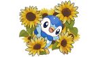  blue_eyes commentary_request creature flower gen_4_pokemon no_humans official_art open_mouth piplup pokemon pokemon_(creature) project_pochama solo sunflower toes tongue white_background 