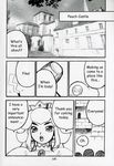  comic double_princesses legend_of_zelda nintendo princess_peach sheik super_mario_bros. yuki_yanagi 