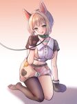  1girl :q animal_ears animal_hands aoba_moca bang_dream! bangs belt_collar black_legwear blush breasts closed_mouth collar crop_top dog_ears fake_animal_ears gloves gradient gradient_background green_eyes grey_hair hairband head_tilt highres kneeling leaning_forward leash looking_at_viewer medium_breasts name_tag navel paw_gloves paw_pose pink_background platinum_blonde_hair ptal puffy_shorts shadow short_hair short_sleeves shorts sidelocks single_leg_pantyhose smile solo stomach tongue tongue_out white_hairband 