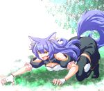  .live 1girl animal_ears breasts cleavage_cutout clothing_cutout fang fingerless_gloves gloves grass highres lgori22 long_hair open_mouth plant pose purple_hair rurun_rururica simple_background small_breasts solo tail thighhighs virtual_youtuber wolf_ears wolf_tail yellow_eyes 