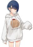  1girl absurdres blue_hair blush breasts brown_eyes closed_mouth collarbone eyebrows_visible_through_hair highres hood hoodie long_sleeves looking_at_viewer medium_breasts nijisanji short_hair sleeves_past_wrists smile solo tyoko_tanuki16 virtual_youtuber white_hoodie yamagami_karuta 