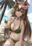  1girl absurdres animal_ears bangs bare_shoulders beach bikini blush braid breasts brown_eyes brown_hair choker cleavage closed_mouth collarbone commentary_request dappled_sunlight day ear_ornament eyebrows_visible_through_hair eyelashes flower frilled_bikini frills gem green_bikini green_choker green_ribbon grey_hair hair_flower hair_ornament hibiscus highres horse_ears horse_girl horse_tail kneeling large_breasts long_hair looking_at_viewer multicolored_hair navel o-ring o-ring_bikini o-ring_top ocean outdoors pink_flower ribbon sapphire_(gemstone) satono_diamond_(umamusume) side-tie_bikini smile solo stomach sunlight swimsuit tail tikichin0229 two-tone_hair umamusume very_long_hair wrist_cuffs 