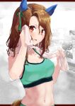 1girl animal_ears bangs bare_shoulders blush breasts brown_hair cleavage collarbone commentary cowboy_shot drying ear_covers ear_ribbon green_pants green_ribbon green_sports_bra groin gym hair_between_eyes highres horse_ears horse_girl horse_tail king_halo_(umamusume) long_hair looking_at_viewer medium_breasts midriff navel pants parted_bangs parted_lips red_eyes ribbon sidelocks solo sports_bra standing sweat tail tark_(318) towel towel_around_neck umamusume w_arms 