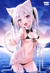  animal_ears bikini nekomimi see_through shiraga swimsuits tail wet wet_clothes 