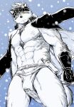  1boy abs ainu_clothes animal_ears bara bare_pectorals bulge chest_hair draw_two feet_out_of_frame furry furry_male gakuran grey_hair headband horkeu_kamui_(tokyo_houkago_summoners) jacket jacket_on_shoulders large_pectorals looking_at_viewer male_focus muscular muscular_male navel nipples pectorals pelvic_curtain revealing_clothes school_uniform short_hair silver_hair snowing solo stomach tail thick_thighs thighs tokyo_houkago_summoners two-tone_fur vambraces white_fur wind wolf_boy wolf_ears wolf_tail 