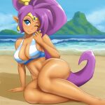  bikini_top bottomless pointy_ears shantae shantae_(character) swimsuits zask 