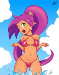  bikini erect_nipples ojoqtlv pointy_ears shantae shantae_(character) swimsuits wet 