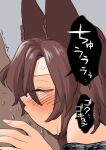  1boy 1girl animal_ears blush brown_hair closed_eyes commentary_request dress fellatio fuuzasa grey_background grey_dress hetero highres imaizumi_kagerou long_hair oral penis simple_background solo_focus sound_effects sweat touhou upper_body wolf_ears 