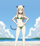  1girl animal_ears beach bikini blonde_hair blush breasts cat_ears cat_tail collarbone eyebrows_visible_through_hair groin hands_on_hips hiro_yoshinaka long_hair looking_at_viewer navel outdoors perrine_h._clostermann shiny shiny_hair shiny_skin sky small_breasts solo strike_witches striped striped_bikini swimsuit tail wavy_mouth world_witches_series yellow_eyes 