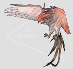  bird black_sclera character_name colored_sclera commentary_request full_body gen_6_pokemon grey_background highres ngr_(nnn204204) no_humans pokedex_number pokemon pokemon_(creature) solo talonflame talons yellow_eyes 