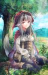  1girl animal_ears belt black_hair black_pants boots fire_emblem fire_emblem_fates flower frown fuussu_(21-kazin) gloves looking_at_viewer multicolored_hair pants pouch red_eyes red_hood shirt sitting streaked_hair sunlight tail tree velouria_(fire_emblem) wariza white_hair white_shirt wolf_ears wolf_tail 