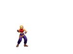  animated blue_mary king_of_fighters snk tagme 