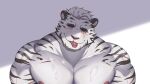  absurdres arknights bara cum cum_on_body furry furry_male highres mountain_(arknights) tiger white_tiger 