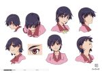  1girl bakemonogatari blue_hair character_sheet closed_eyes collared_shirt expressions highres kanbaru_suruga looking_at_viewer looking_down looking_up monogatari_(series) multiple_views naoetsu_high_school_uniform official_art pink_shirt portrait production_art red_eyes scan school_uniform shirt short_hair simple_background smirk thick_eyebrows turnaround very_short_hair white_background zip_available 