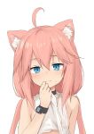  1girl absurdres ahoge animal_ear_fluff animal_ears bangs bare_shoulders black_choker blue_eyes blush cat_ears choker closed_mouth clothes_lift eyebrows_visible_through_hair hair_between_eyes highres hinata_channel long_hair looking_at_viewer low_twintails nekomiya_hinata pink_hair shirt_lift simple_background smile solo sweat tank_top twintails upper_body virtual_youtuber watch white_background white_tank_top wristwatch yakihebi 