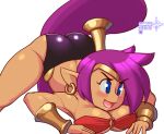  big_breasts blue_eyes breasts butt clothed clothing crossman ear_piercing female genie hair humanoid humanoid_pointy_ears jackopose long_hair mammal not_furry open_mouth piercing ponytail pose purple_hair shantae shantae_(series) smile solo video_games wayforward wayfoward 