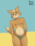  anthro beach bikini blush brown_body brown_fur canid canine clothed clothing crossdressing embarrassed fox fox_mccloud fur girly hands_behind_back hi_res looking_aside looking_away looking_down male mammal nintendo redxelxet seaside shy solo solo_focus star_fox swimwear video_games 