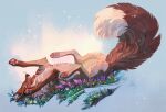  2021 ambiguous_gender canid canine canis detailed feral flower fox fur geosaiko1267 grass happy lying mammal on_back open_mouth orange_body orange_fur painting_(artwork) pawpads paws plant simple_background smile solo spring_(season) traditional_media_(artwork) white_body white_fur 