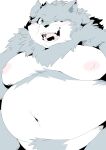  2021 absurd_res anthro belly biped blush canid canine fur green_eyes grey_body grey_fur hi_res kemono male mammal moobs navel nipples one_eye_closed overweight overweight_male sigenoya simple_background solo takotyutyu white_background white_body white_fur wink 