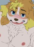  2021 anthro biped blue_eyes blush bodily_fluids brown_body brown_fur brown_nose canid canine canis domestic_dog fur hisaki_(live-a-hero) kemono konbu live-a-hero male mammal nipples simple_background solo sweat teeth video_games white_body white_fur 