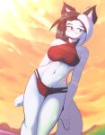  2021 absurd_res anthro black_nose blue_eyes blush breasts canid clothed clothing female freakyed fur heterochromia hi_res karryl_jian mammal midriff navel outside red_eyes solo sunset swimwear white_body white_fur 