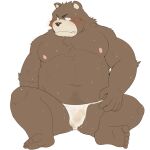  1:1 2016 anthro asian_clothing belly blush bodily_fluids brown_body brown_fur bulge clothing east_asian_clothing fundoshi fur genital_outline hi_res japanese_clothing kemono male mammal moobs navel nipples overweight overweight_male penis_outline shiike999 simple_background sitting solo sweat underwear ursid white_background white_clothing white_fundoshi white_underwear 