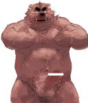  2015 anthro balls belly black_nose blush brown_body brown_fur censored erection fur genitals humanoid_genitalia humanoid_hands humanoid_penis kemono koto_(pixiv_2766446) male mammal overweight overweight_male penis simple_background solo ursid white_background 