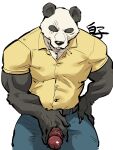  3:4 anthro beastars belt biceps black_body black_eyes black_fur bottomwear cigarette cigarette_in_mouth claws clothed clothing dress_shirt erection finger_claws fully_clothed fur genitals giant_panda glistening glistening_genitalia glistening_penis gouhin hand_on_hip hand_on_penis hi_res humanoid_genitalia humanoid_penis male mammal muscular muscular_anthro muscular_male pants penis penis_through_fly poking_out red_penis scar shirako shirt simple_background solo thick_thighs topwear ursid vein veiny_penis white_body white_fur 