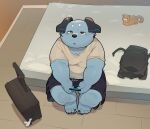  2021 absurd_res backpack bed black_nose blue_body bottomwear canid canine cellphone clothing detailed_background furniture hi_res humanoid_hands inside kemono male mammal overweight overweight_male phone piero03432812 plushie shirt shorts sitting smartphone topwear 