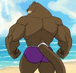  absurd_res anthro beach brown_body brown_fur butt clothed clothing darknaigart friday_(friday_otter) fur hi_res lutrine male mammal muscular muscular_anthro muscular_male mustelid outside rear_view sea seaside sky solo swimwear topless water 