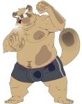  2015 against_surface anthro belly black_nose blush brown_body brown_fur bulge canid canine clothing fur hi_res humanoid_hands kemono male mammal moobs nipples on_glass overweight overweight_male raccoon_dog shiike999 simple_background solo tanuki underwear white_background 