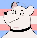  anthro blush collar collar_only ear_piercing evelyn_(sff) eyelashes female fur headshot headshot_portrait hi_res icon lgbt_pride looking_at_viewer mammal pechaberry piercing polar_bear portrait pose pride_color_background pride_colors simple_background smile solo super_fuck_friends trans_(lore) trans_woman_(lore) transgender_pride_colors ursid ursine white_body white_fur 