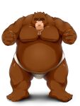  2012 3:4 alternate_text_(artist) anthro belly big_belly black_nose blush brown_body brown_fur bulge clothing fur humanoid_hands kemono male mammal moobs obese obese_male overweight overweight_male simple_background solo underwear ursid white_background 