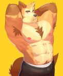  2021 abs anthro armpit_hair biceps body_hair bottomwear canid canine cilok clothing fur hi_res male mammal muscular muscular_anthro muscular_male nipples pecs simple_background solo yellow_background 